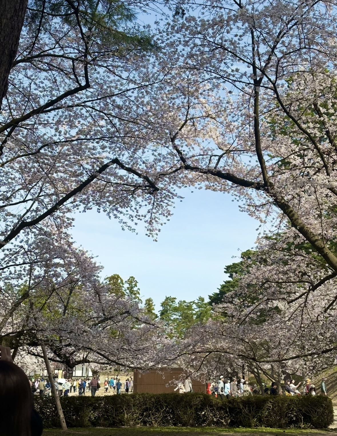 【ブログ】2026年2月・3月賃料起算可物件の画像