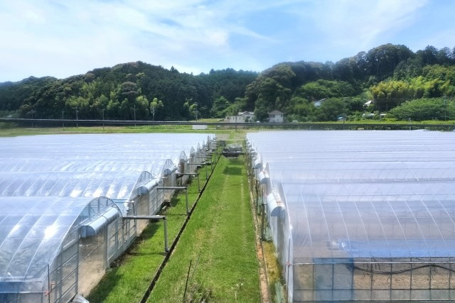 相続した農地は売却できる？手続きの流れやメリットについても解...の画像