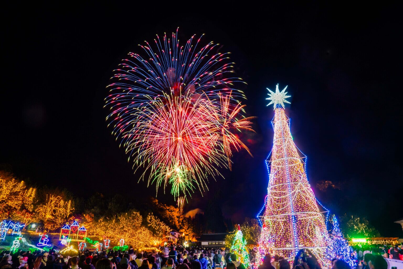 備北イルミの画像