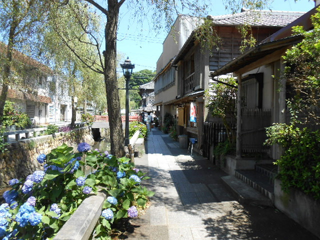 下田市の観光スポットはどこがおすすめ？人気の場所や楽しみ方も...の画像