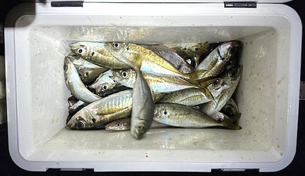 遠征釣りの画像