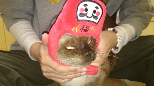 豊洲問題とは何なのか。の画像