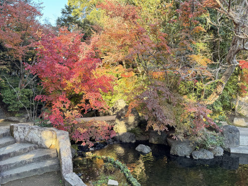 令和７年月次祭＆お誕生日ランチ☆の画像