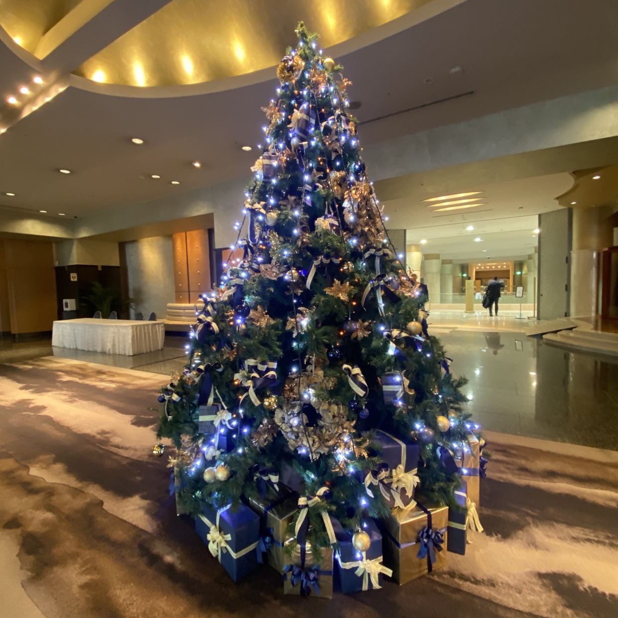 12月に入って早4日！の画像