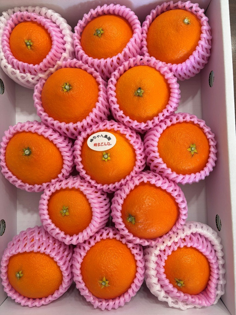 峰まどんな 愛媛県産高級柑橘　【ホームメイトFC大船店　ジェ...の画像