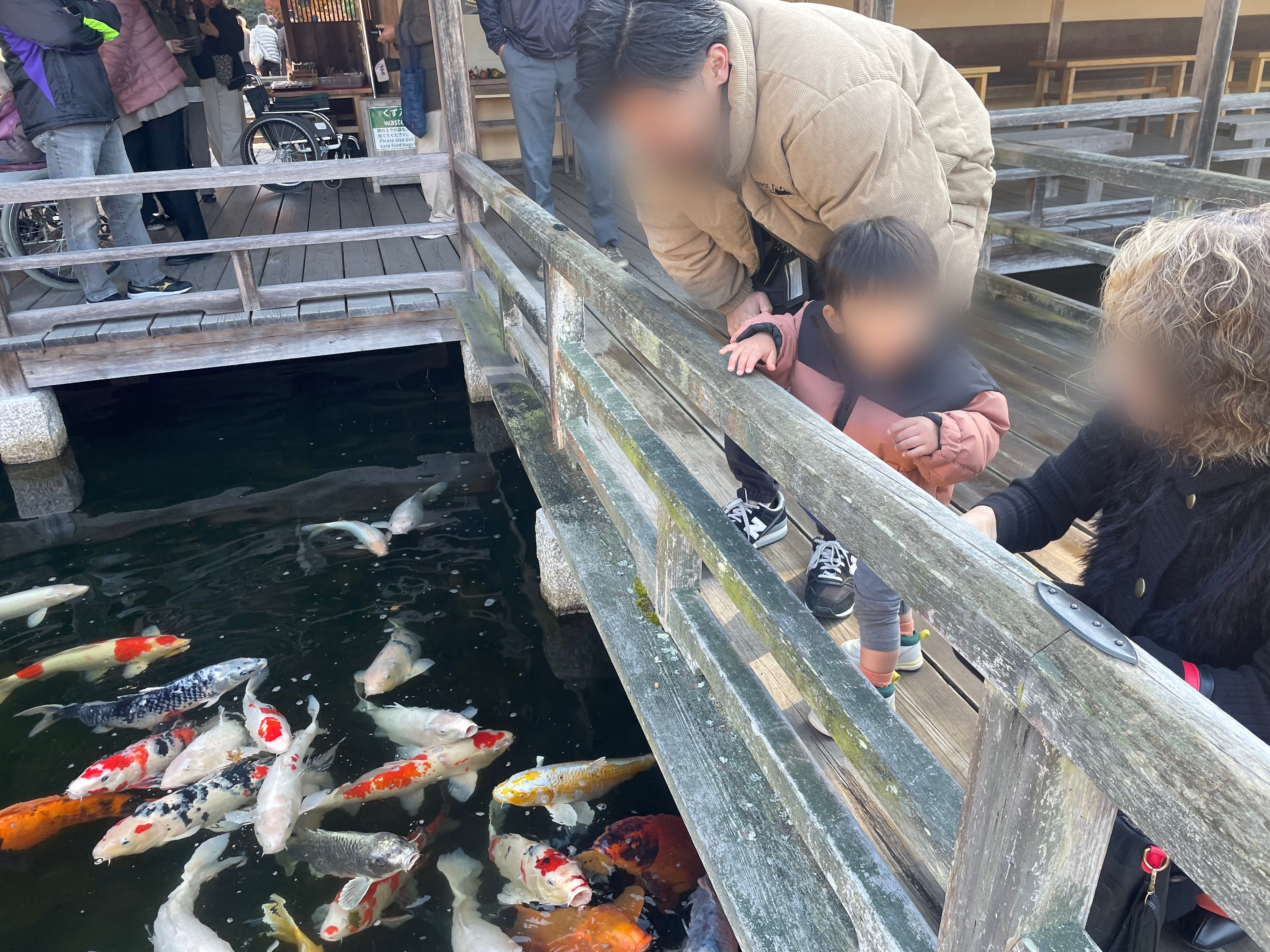 紅葉見に行こうようの画像