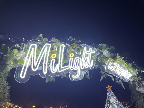 『MiLight izumo 2025』イルミネーション点灯...の画像