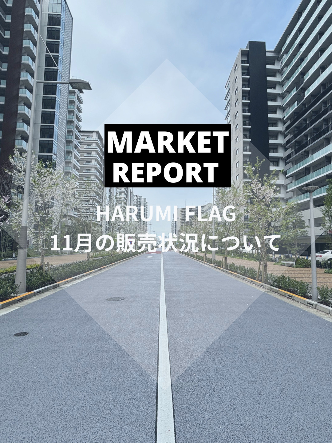 HARUMI FLAG 2025年11月の販売動向の画像