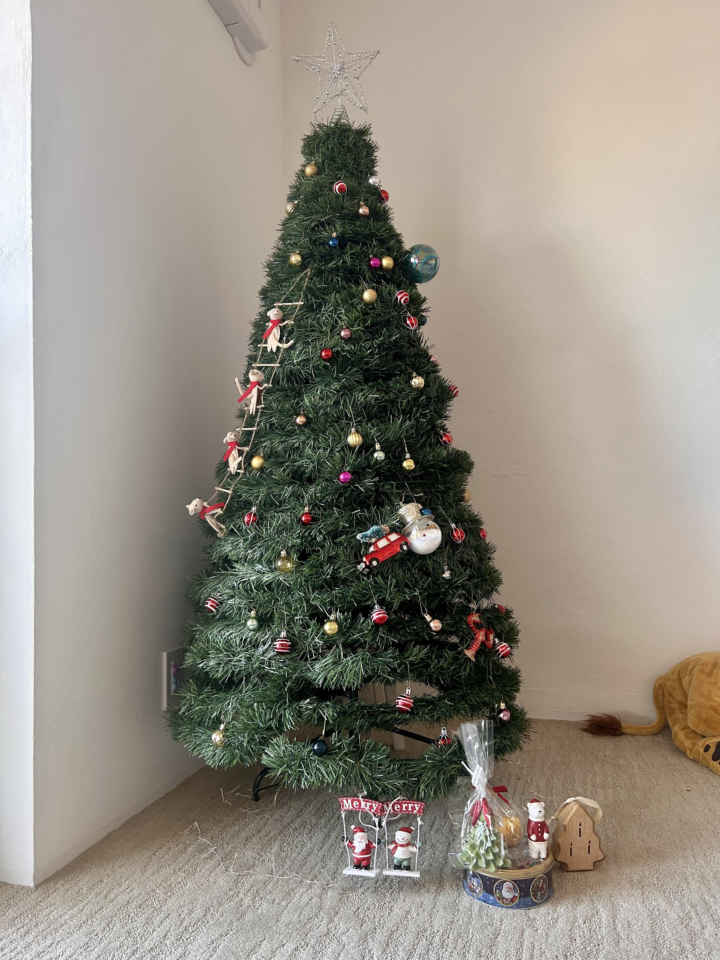 クリスマスツリーの画像