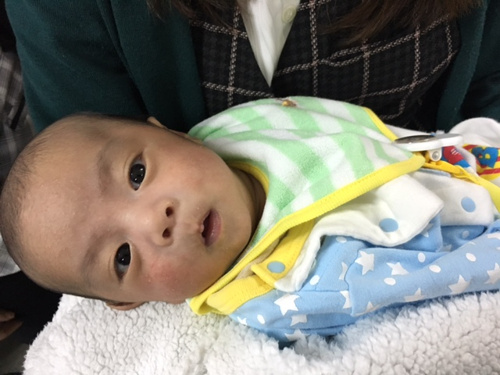 癒し 那覇市首里の不動産 有限会社新地開発