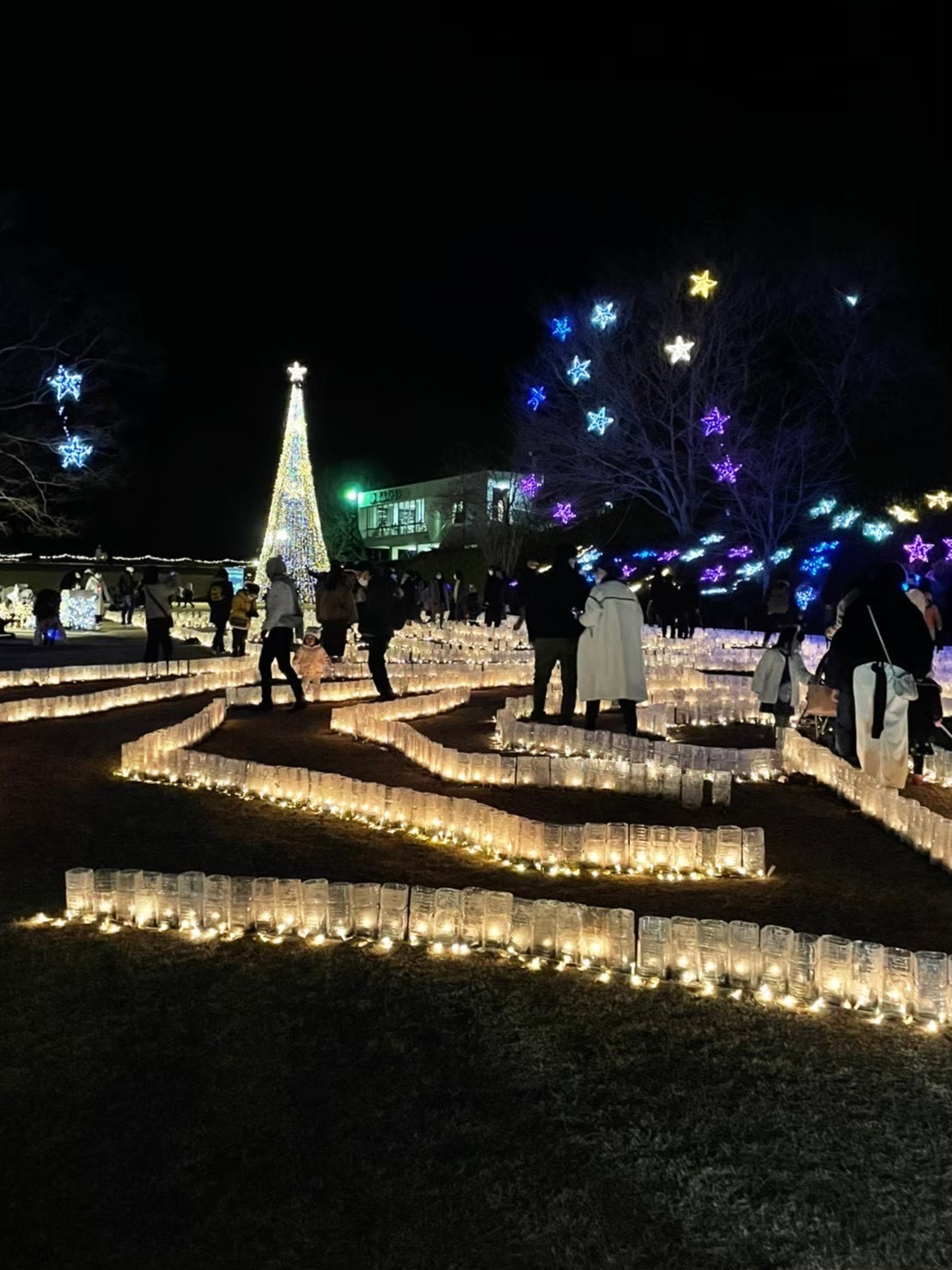 賃貸でも楽しめるクリスマス飾りつけのコツは？アイデア満載でお...の画像