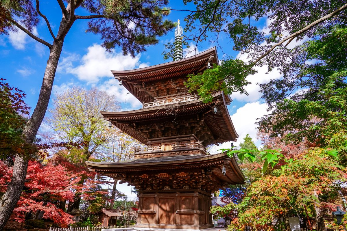 農業大学（世田谷）に通うならここ!おすすめ物件エリア【202...の画像