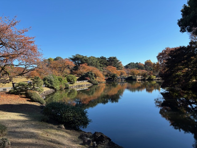 新宿御苑の魅力を知りたい方必見！今の時期のみどころやおすすめ...の画像
