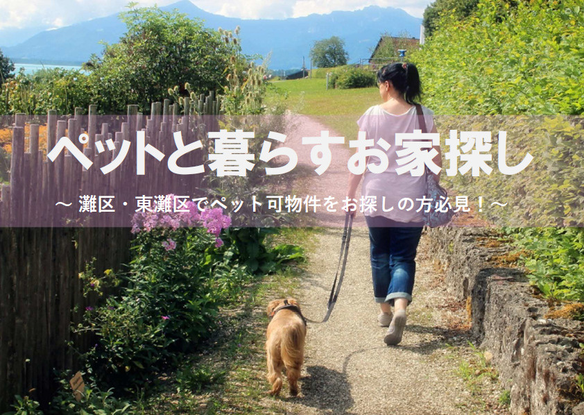 【2026年版】ペット飼育に適した神戸市灘区や東灘区とは？家...の画像