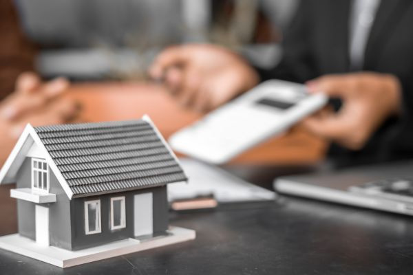 【鹿児島店】12月度　市況レポートの画像