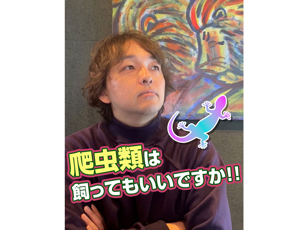 【軽井沢の賃貸経営】爬虫類は飼ってもいいですか！！〜賃貸オー...の画像