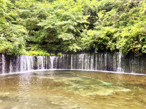 軽井沢の自然を満喫する観光散策コースは？四季を感じるおすすめ...の画像
