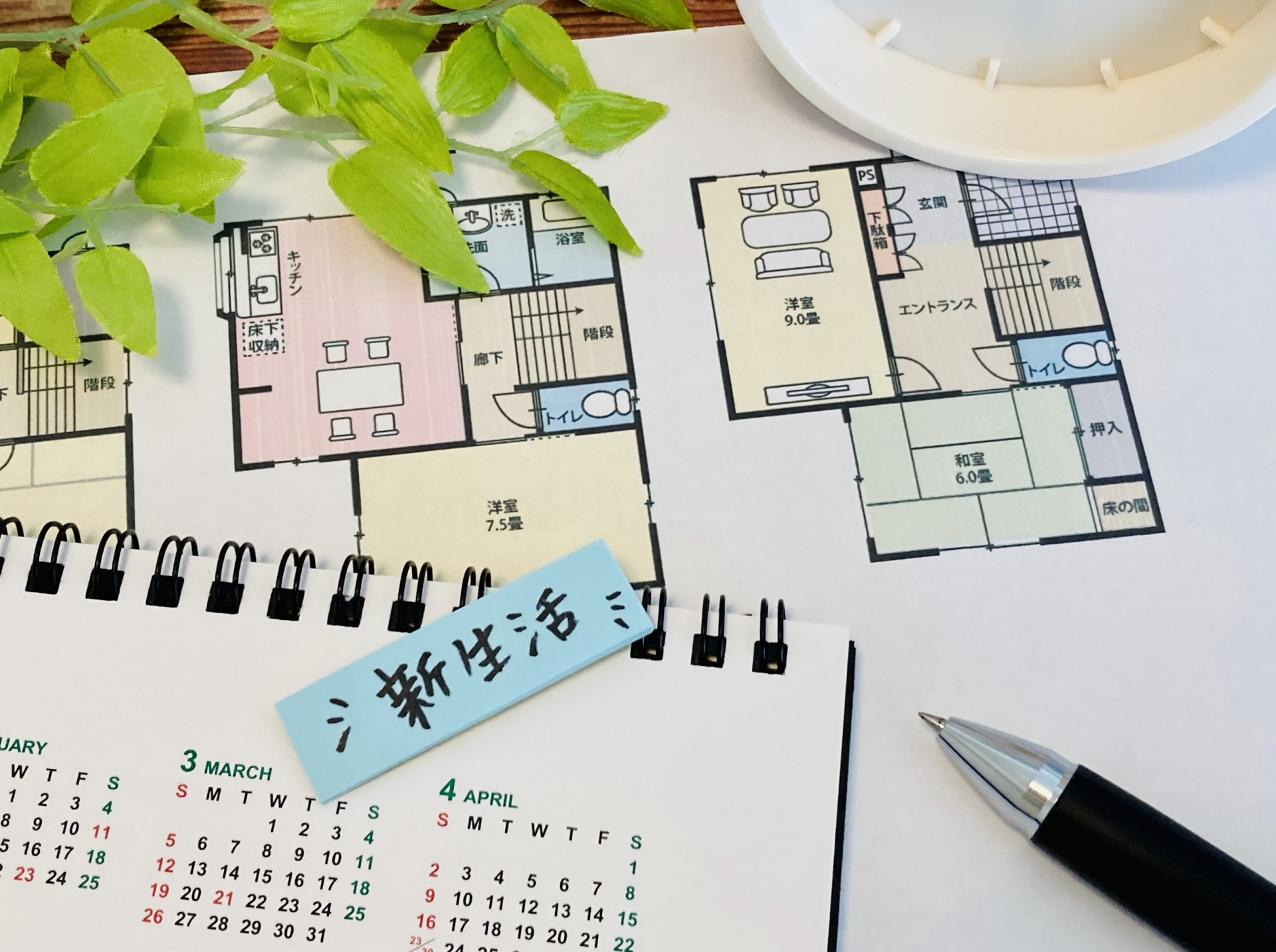 【2026年版】1〜3月の繁忙期に失敗しない部屋探し完全ガイ...の画像