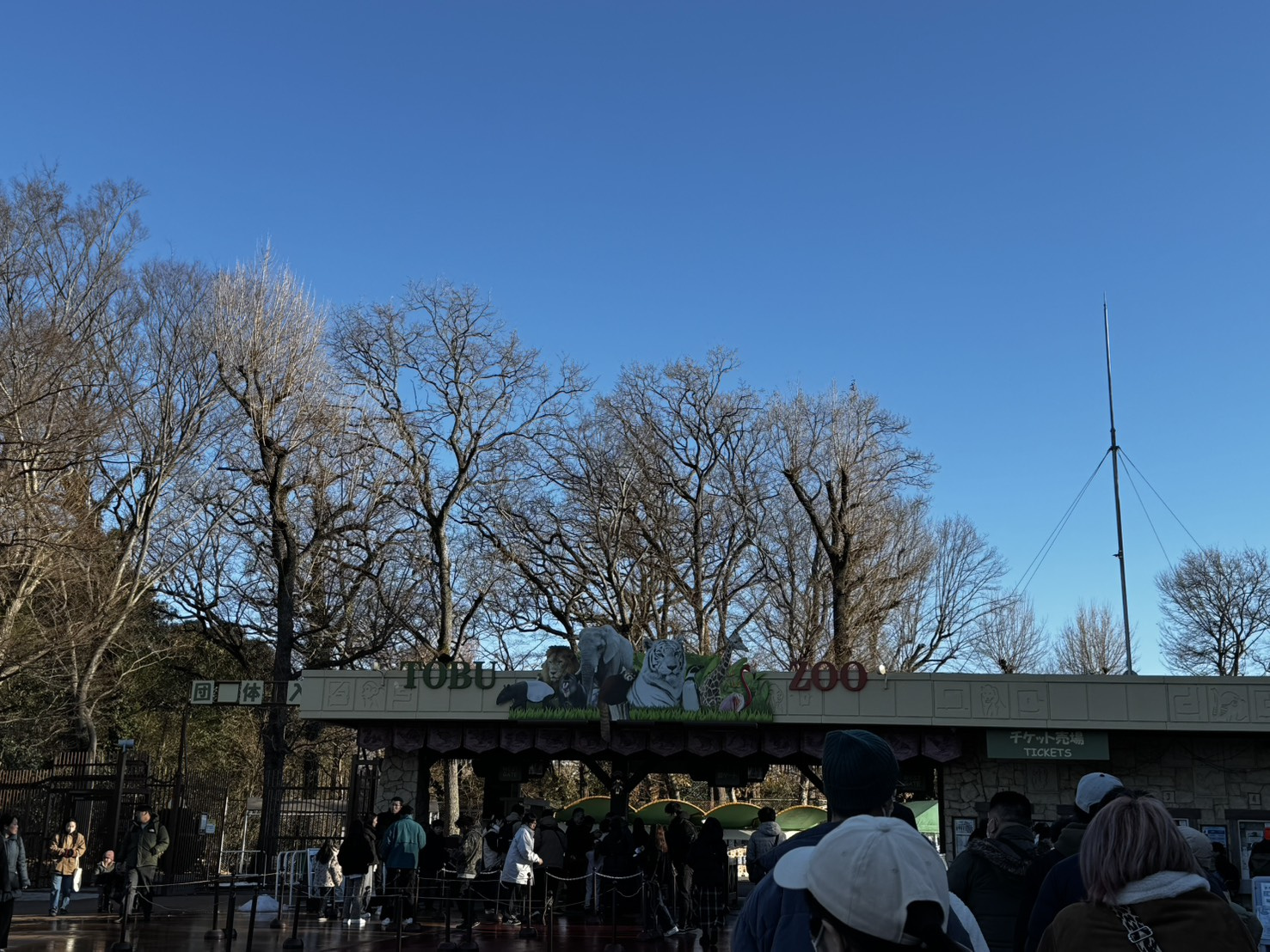 東武動物公園へ行ってきました！～不動産屋の休日～の画像