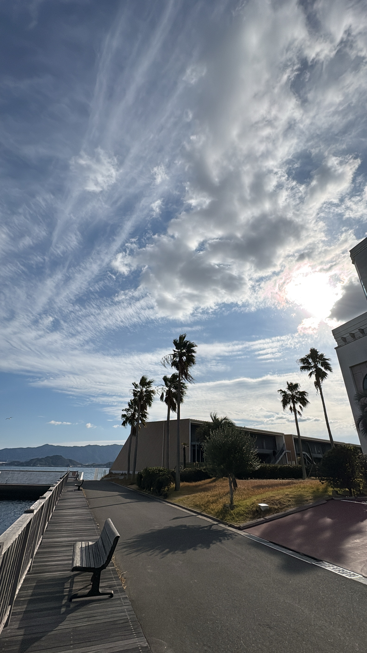 2026年超行動派スタートの画像