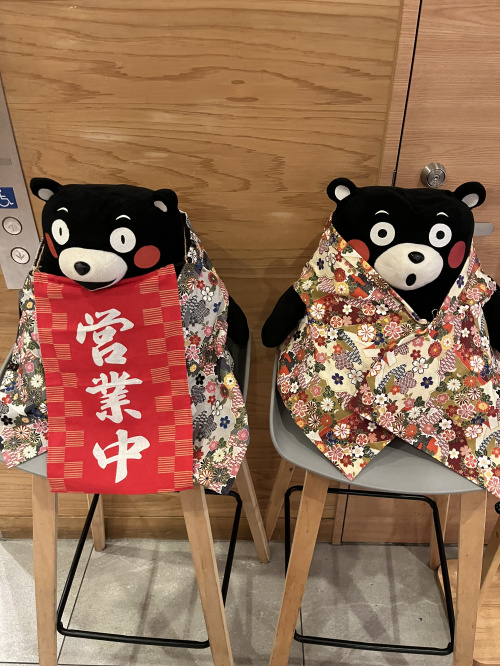 熊本市で人気エリアを探す方必見！治安ランキングと希少性の選び...の画像
