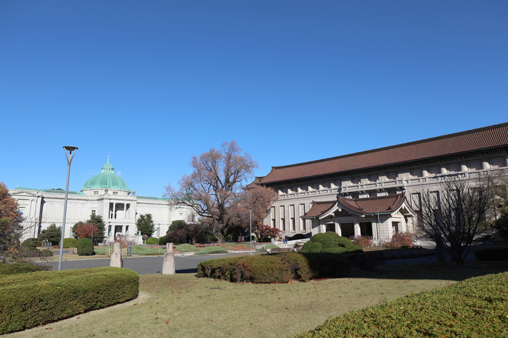 「上野国立博物館へ行ってきました。」の画像