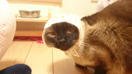 自分に厳しく他人に優しく。の画像