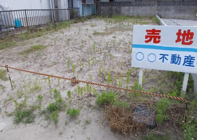土地探しのコツは？優先順位の付け方や現地確認も解説の画像