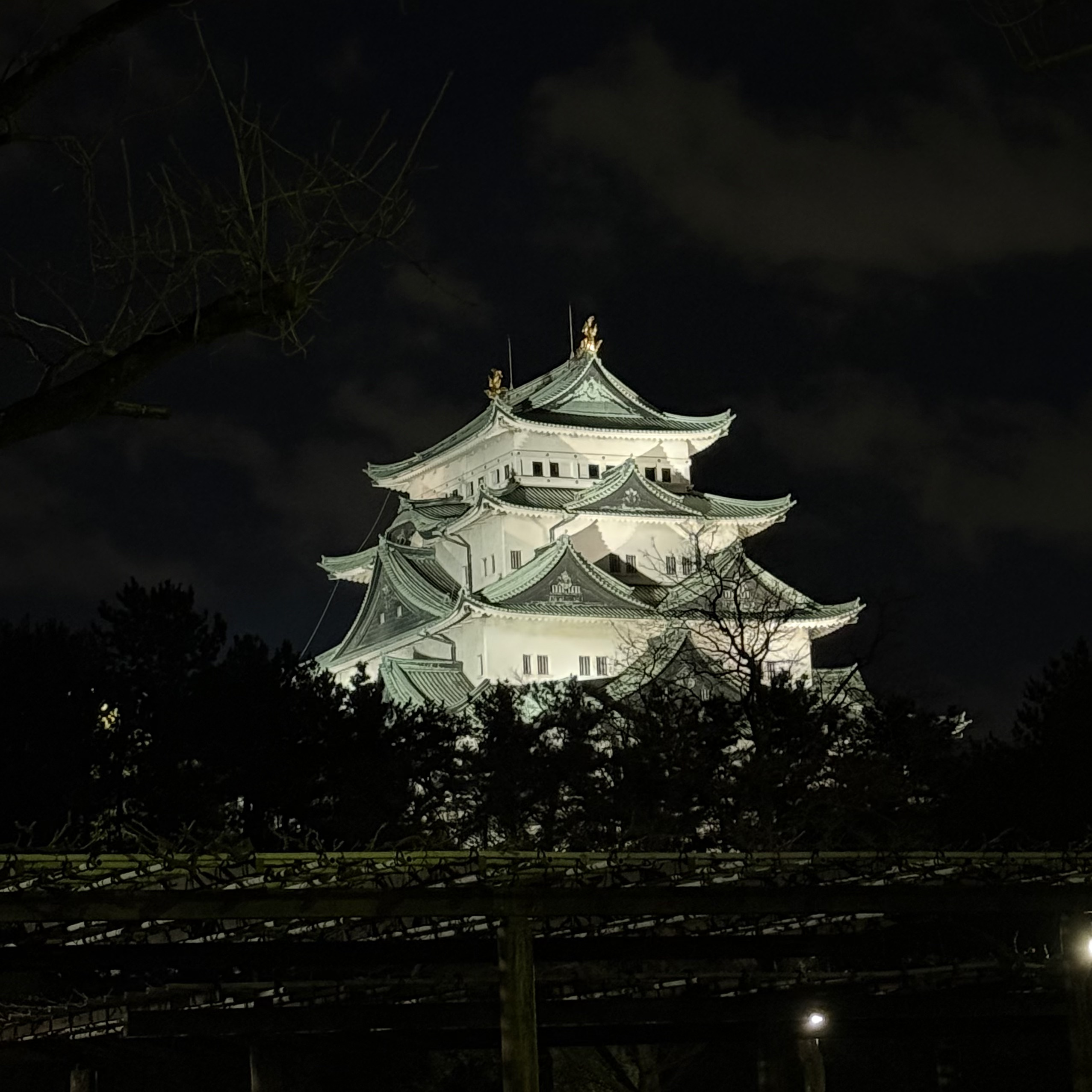 ライトアップの画像