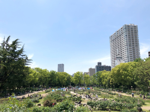 大阪市西区の散策コースを巡ってみませんか？観光に役立つモデル...の画像