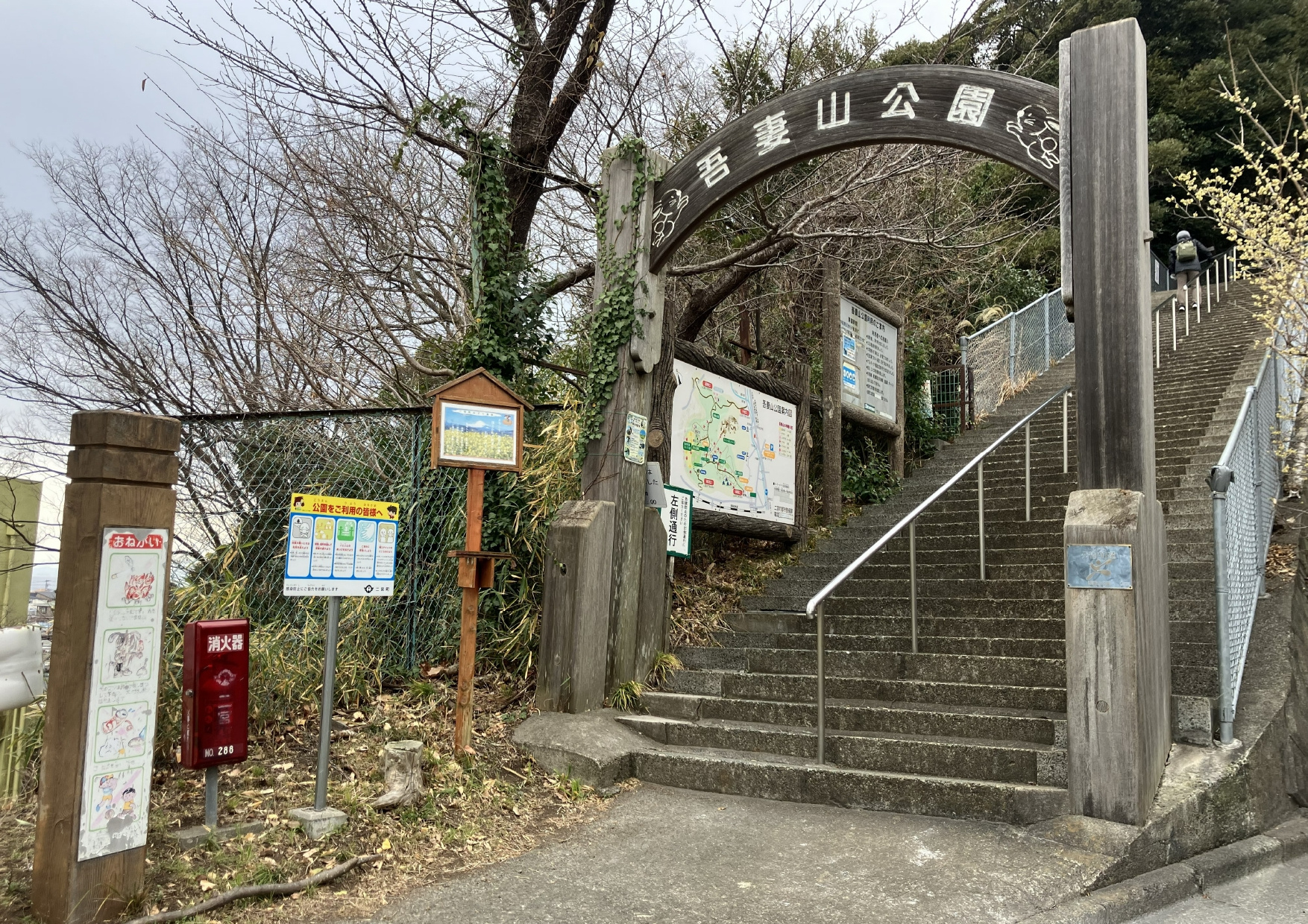 二宮町　吾妻山公園菜の花を見に行ってきました！の画像