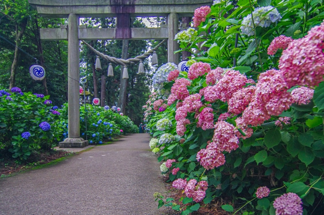 鹿沼市にある「磯山神社」の魅力！おすすめスポットもご紹介の画像
