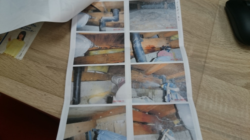 シロアリ防蟻工事も承ります。の画像