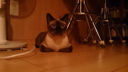 毎日書くブログの意義の画像