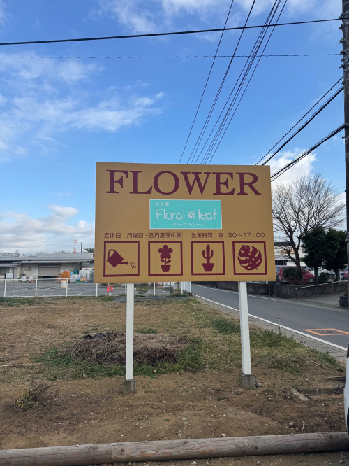 今日も観葉植物を求めて～の画像