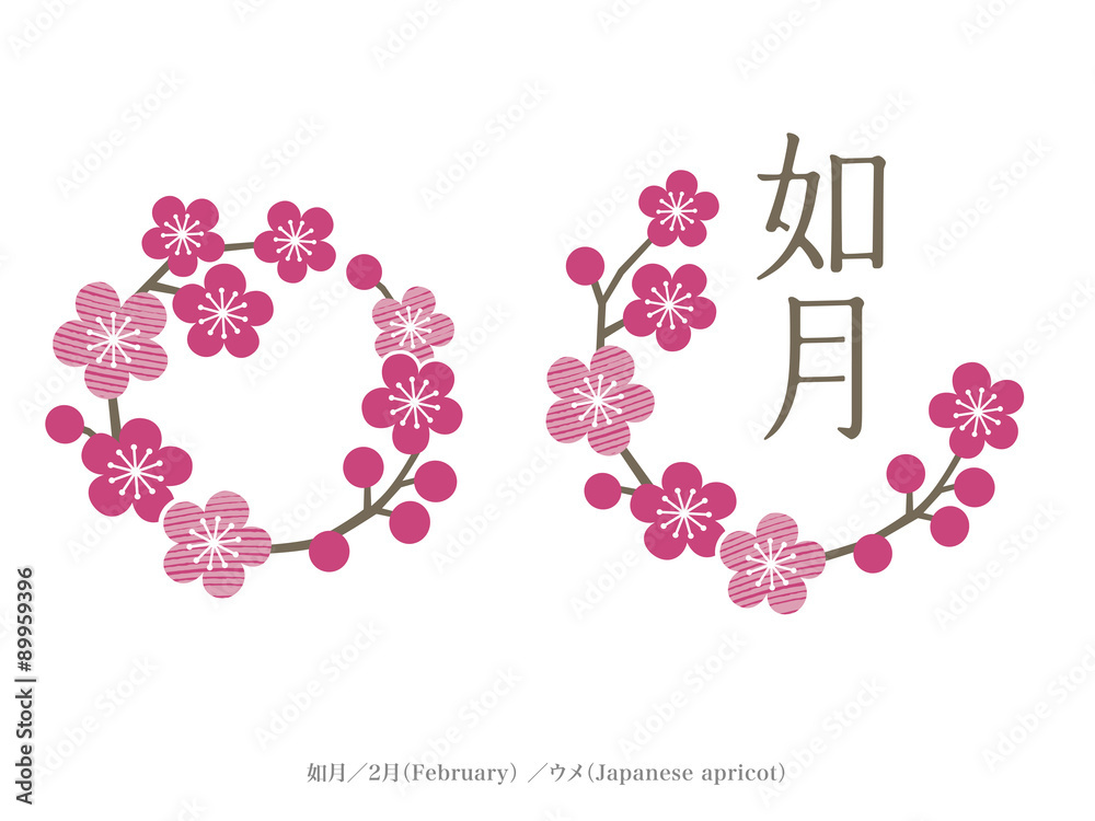 如月（きさらぎ）の画像