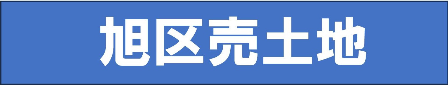 本日の新着情報!!の画像