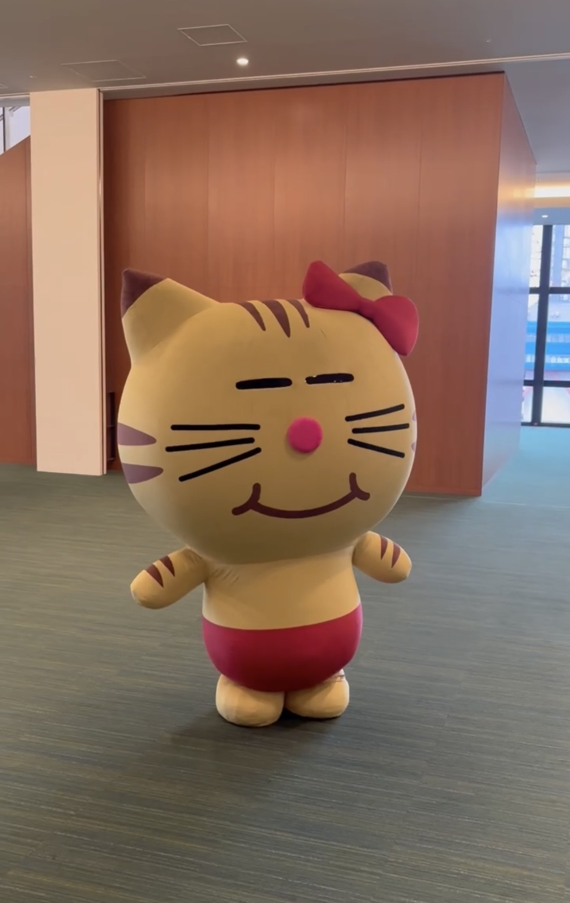 熊本市南区の不動産価格は今どうなっている？上昇エリアの特徴と...の画像