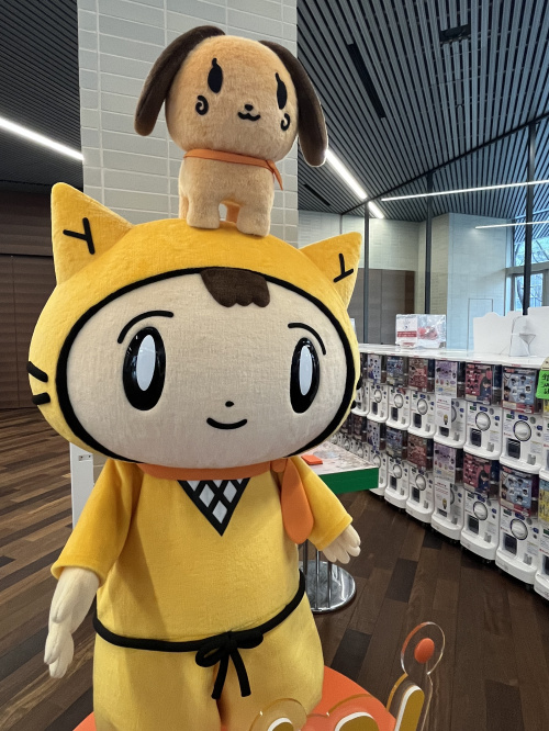 市有地の購入は個人でも可能か知りたい方へ！条件や手続きも市有...の画像