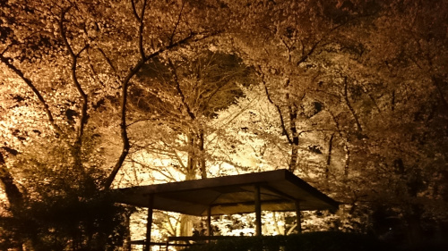 高崎観音にての画像