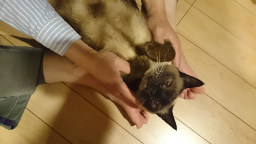 人手不足は続く。の画像
