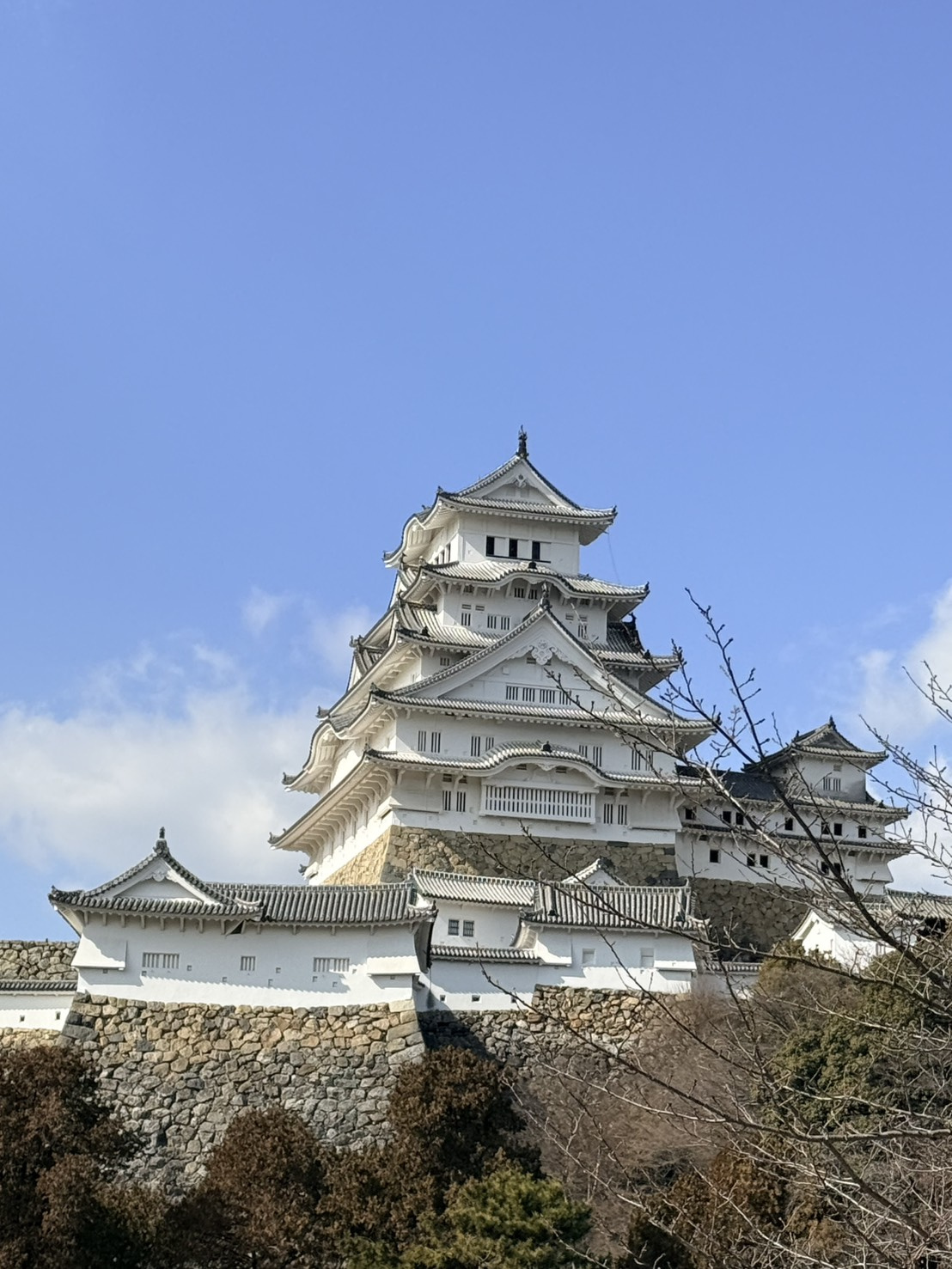姫路視察レポート｜世界遺産から学ぶ「不動産の本質」の画像