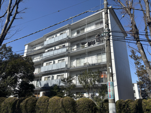 宮前平 ４DKのファミリー向け賃貸物件のご紹介♪の画像