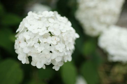 住宅価格と金利の上昇に勝つ。「稼ぐ家・助け合う家」で賢く建て...の画像