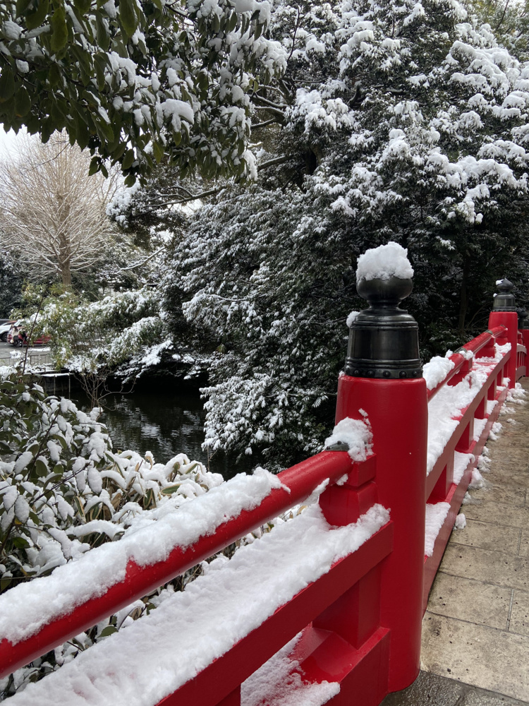 「氷川神社の雪景色」の画像