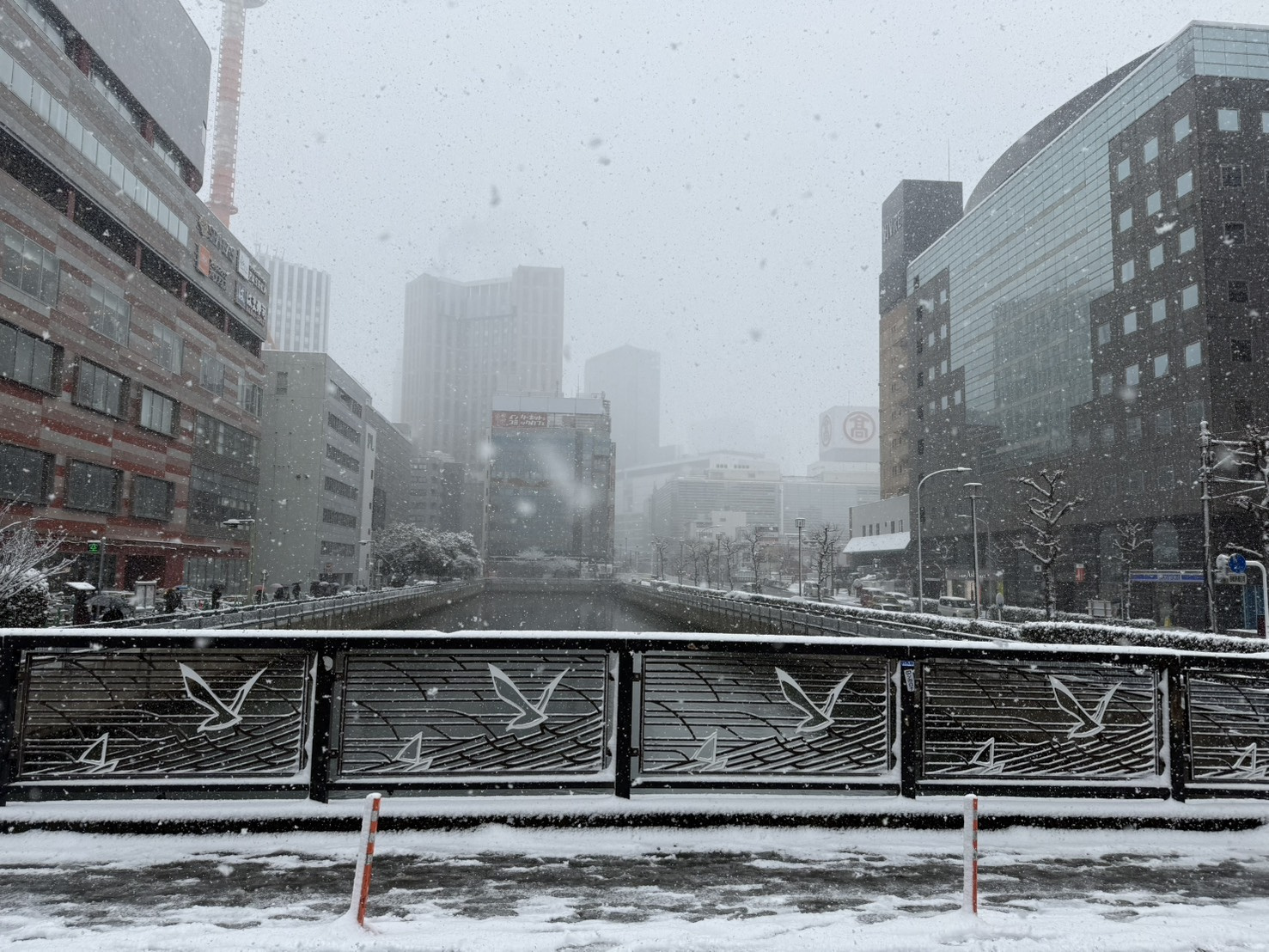 雪の画像