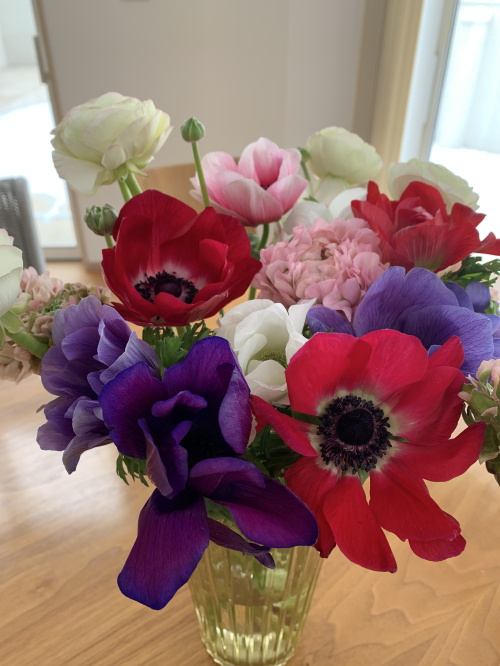 賃貸物件をお探しのお客様への画像