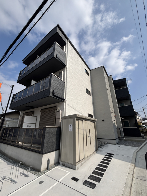 D porta clavelの画像
