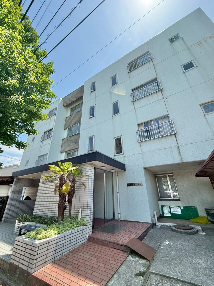 最新記事「【マンション情報】価格変更！中央区関屋昭和町1丁目/充実の周辺環境/２年前リフォーム済」の画像
