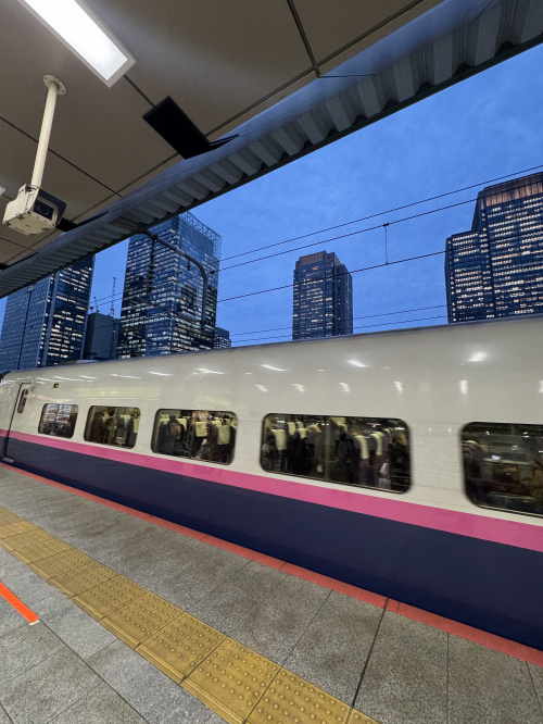 【新潟市不動産売却】若者の首都圏流出と、親世代の「ひとりで生...の画像